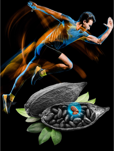 imagen-el-poder-del-cacao