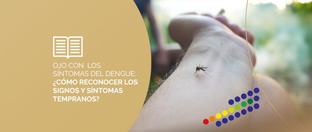 Mosquito Aedes aegypti, vector del dengue