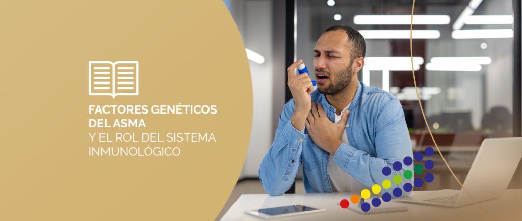 Pulmones con vías respiratorias inflamadas