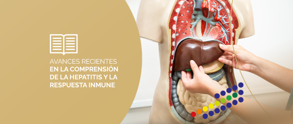Hígado afectado por hepatitis