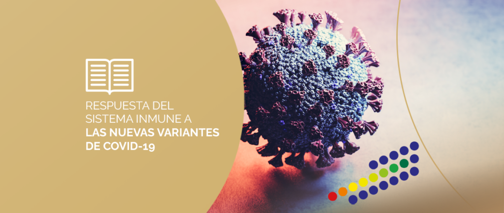 Anticuerpos combatiendo el SARS-CoV-2