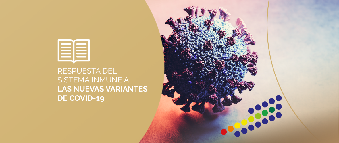Anticuerpos combatiendo el SARS-CoV-2