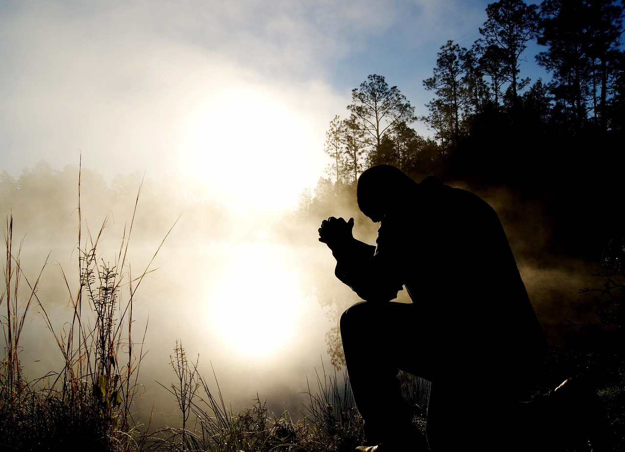 Meditación y cambios en el cerebro